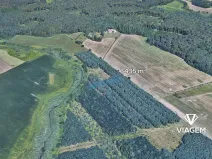 Prodej lesa, Břeclav, 3435 m2