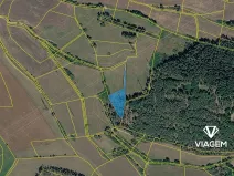 Prodej lesa, Nečín, 2595 m2