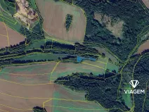 Prodej lesa, Rozstání, 2096 m2