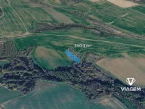 Prodej lesa, Jalubí, 2603 m2