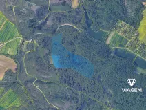 Prodej podílu lesa, Troubsko, 5672 m2