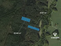 Prodej podílu lesa, Suchdol nad Lužnicí, 13912 m2