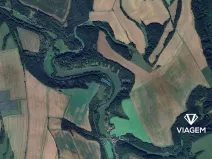 Prodej lesa, Radkov, 2860 m2