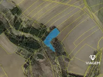 Prodej lesa, Buřenice, 5732 m2