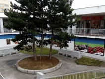 Pronájem obchodního prostoru, Brno, 320 m2