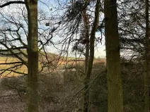 Prodej lesa, Klatovy, 8497 m2