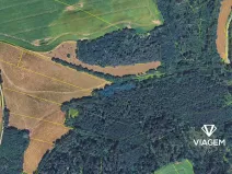 Prodej lesa, Střítež nad Ludinou, 1738 m2