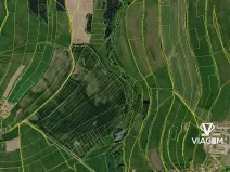 Prodej lesa, Nové Město na Moravě, 1693 m2