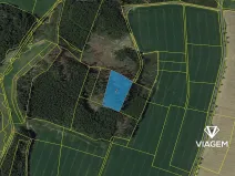 Prodej podílu lesa, Stříbrné Hory, 1425 m2