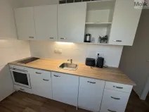 Pronájem bytu 2+1, Most, Jaroslava Vrchlického, 54 m2