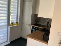 Pronájem bytu 2+kk, Třinec, Seifertova, 50 m2