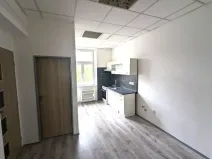 Pronájem bytu 2+kk, Ústí nad Labem - Ústí nad Labem-centrum, Moskevská, 46 m2
