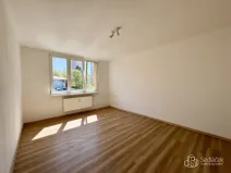 Pronájem bytu 3+1, Sokolov, Mánesova, 63 m2