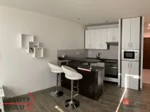 Pronájem bytu 1+kk, Ostrava - Moravská Ostrava, Gen. Píky, 26 m2