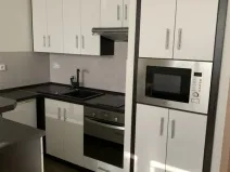 Pronájem bytu 1+kk, Ostrava - Moravská Ostrava, Gen. Píky, 26 m2