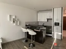 Pronájem bytu 1+kk, Ostrava - Moravská Ostrava, Gen. Píky, 26 m2