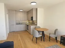 Pronájem bytu 2+kk, Brno, Bratislavská, 50 m2
