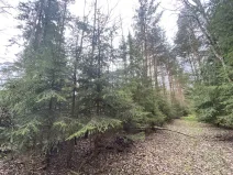 Prodej pozemku, Volfířov - Brandlín, 5958 m2