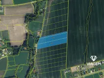 Prodej podílu pole, Horní Domaslavice, 1206 m2