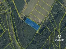 Prodej podílu lesa, Bělá pod Bezdězem, 824 m2