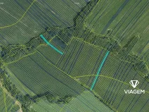 Prodej podílu pole, Mistřice, 3801 m2