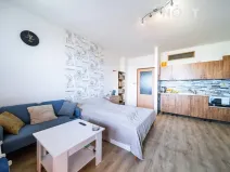 Prodej bytu 1+kk, Frýdek-Místek, Hasičská, 30 m2