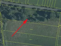 Prodej louky, Hovězí, 4650 m2