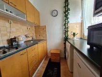 Pronájem bytu 1+kk, Brno, Vídeňská, 27 m2