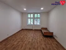 Pronájem bytu 1+1, Opava, Alšova, 50 m2