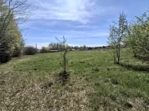 Prodej komerčního pozemku, Dalovice, 18373 m2