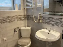 Pronájem bytu 1+1, Opava - Předměstí, Bezručovo náměstí, 30 m2