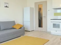 Prodej bytu 1+kk, Praha - Horní Měcholupy, Mantovská, 28 m2