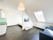 Pronájem bytu 1+kk, Praha - Žižkov, Bořivojova, 35 m2