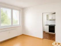 Prodej bytu 2+1, Havířov, Mládí, 43 m2