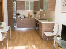 Pronájem bytu 2+kk, Praha - Bubeneč, Jednořadá, 60 m2