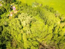 Prodej pozemku, Benešov nad Černou - Hartunkov, 5446 m2