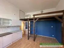 Pronájem bytu 1+kk, Praha - Žižkov, Kubelíkova, 29 m2