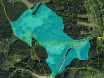 Prodej lesa, Zlín, Modřínová, 179312 m2