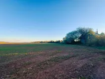 Prodej pozemku pro bydlení, Unín, 11943 m2