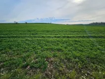 Prodej pole, Bystřice, 42871 m2