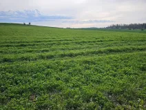 Prodej pole, Bystřice, 42871 m2