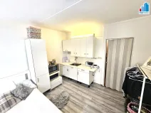 Pronájem bytu 1+kk, Plzeň - Skvrňany, Vejprnická, 20 m2