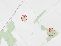 Prodej podílu lesa, Skalice, 1312 m2