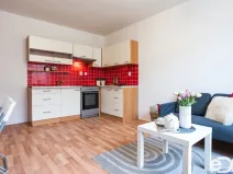 Pronájem bytu 2+kk, Borohrádek, Družstevní, 31 m2