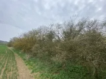 Prodej pozemku, Štětí - Brocno, 273 m2