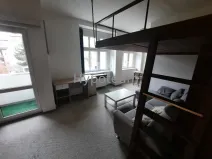 Pronájem bytu 1+kk, Ústí nad Labem - Klíše, Palachova, 40 m2