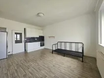 Pronájem bytu 1+kk, Praha - Nusle, V zálomu, 28 m2