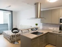 Prodej bytu 1+kk, Praha - Smíchov, Jindřicha Plachty, 40 m2