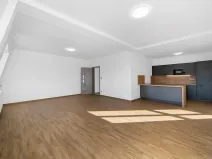 Pronájem bytu 1+kk, Plzeň - Severní Předměstí, Bolevecká, 55 m2