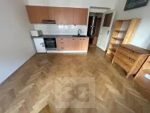 Pronájem bytu 1+kk, Praha - Nusle, U křížku, 28 m2